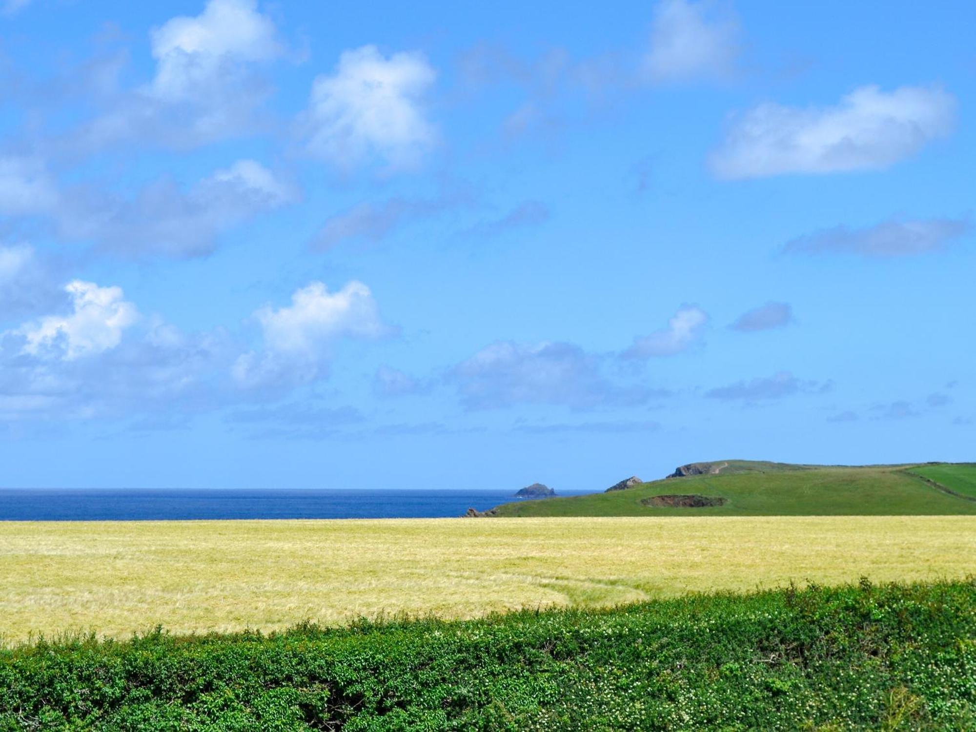 St Cadoc Cottage Saint Merryn Екстериор снимка